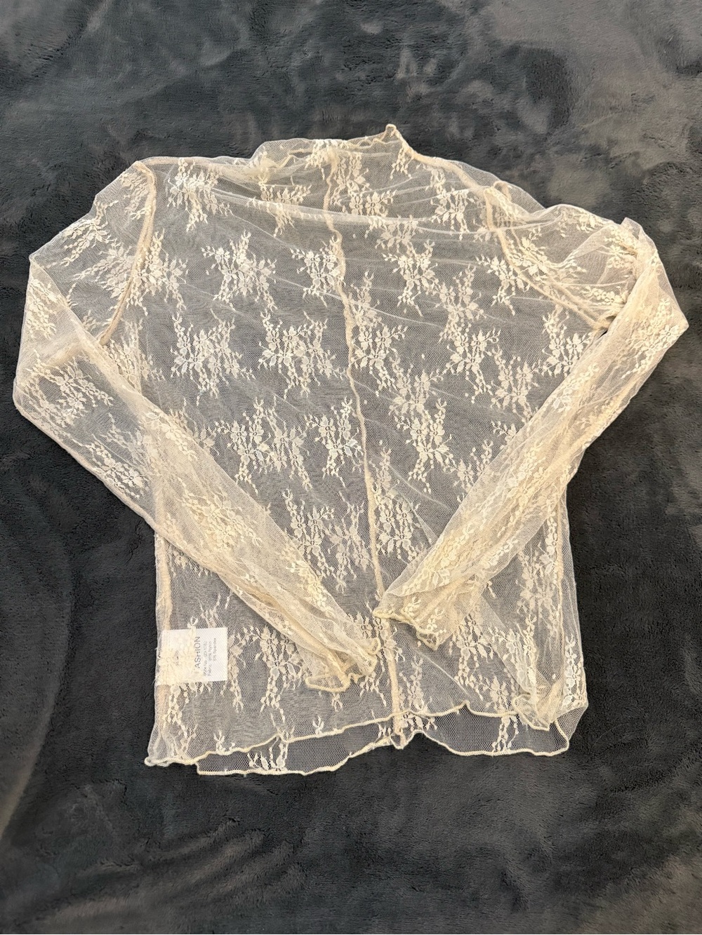 Sheer Floral Lace Long Sleeve Top in Ivory